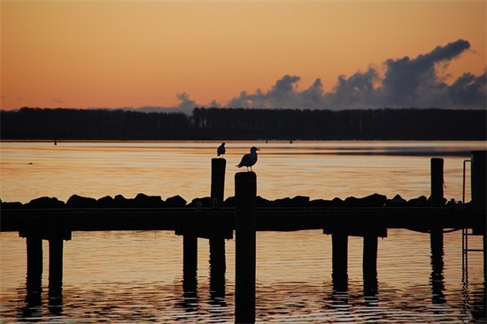 建军节的问候86句