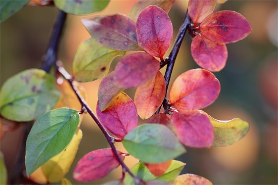 旅途寄语短句-52句