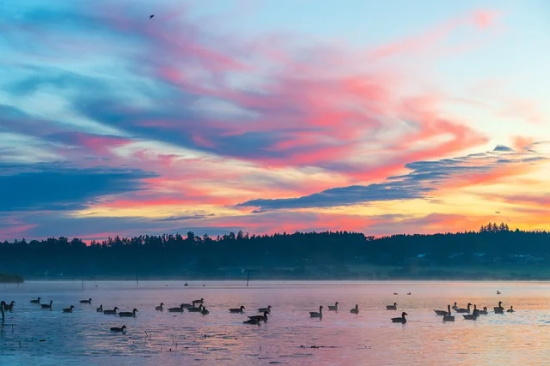 寄语学生干部-81句