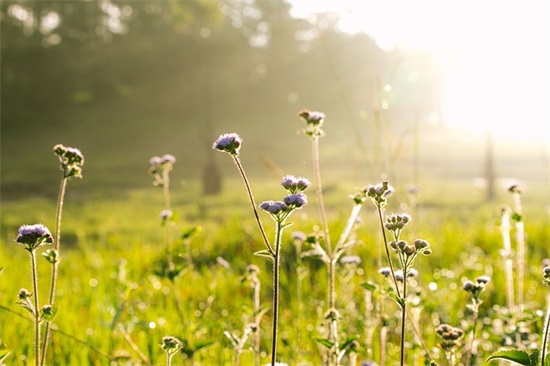 幼儿园大班毕业,班主任寄语 【幼儿园大班毕业班主任发言】