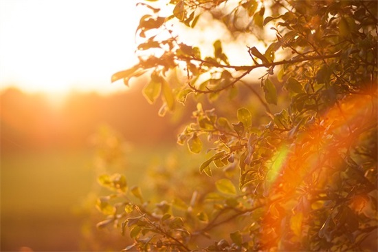 给20岁儿子生日寄语 【给儿子20岁生日最好的句子】