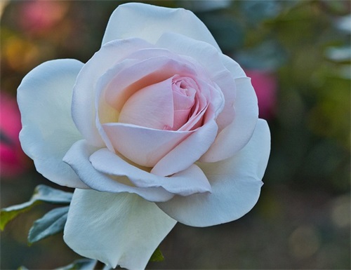 父母对儿女的生日寄语 【父母对儿女的生日寄语一句话】