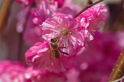 2025七夕节表白句子浪漫大全(适合七夕的表白句子)