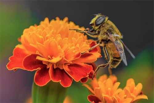 关于回忆伤感的句子80句