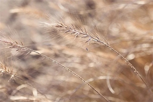 逝者一路走好的祝福句子