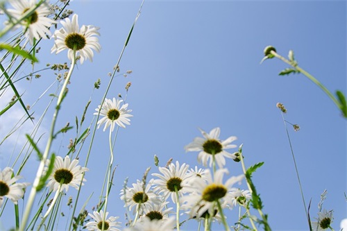 高冷成熟一点的网名