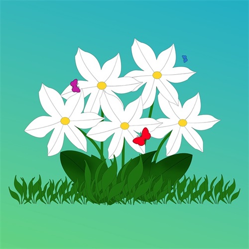 毕业生寄语老师给学生简短 【毕业生寄语老师给学生简短发言】