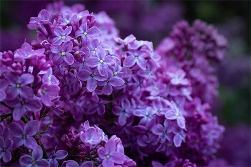 加油努力正能量的句子(早上好努力正能量加油句子)