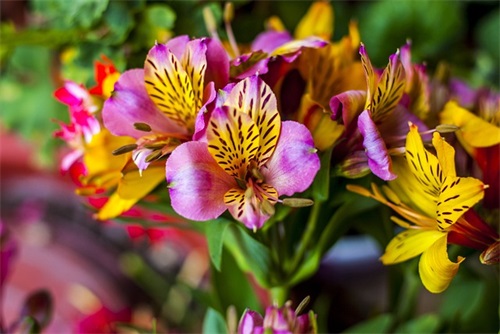 初中毕业了对老师的感谢寄语 【初中毕业对老师的感谢话语】