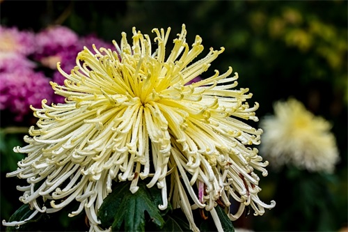 给高中孩子的一句话寄语-54句