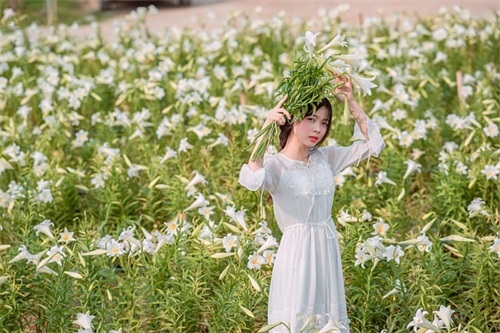 好听的女微信网名大全