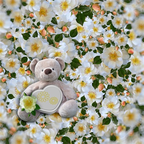 川端康成经典语录-61句