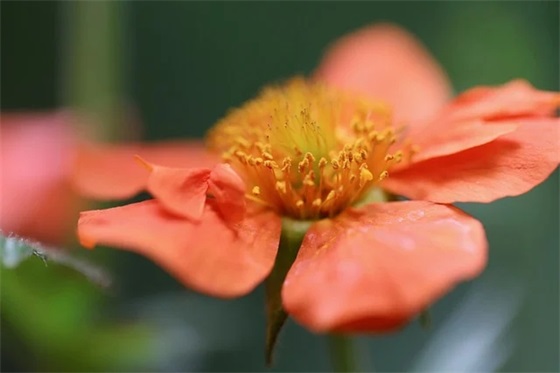 一个人孤独寂寞的说说-81句