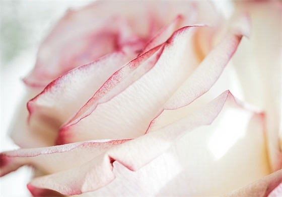 一直在路上的励志句子50条