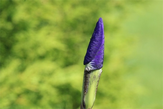 让人心酸的句子