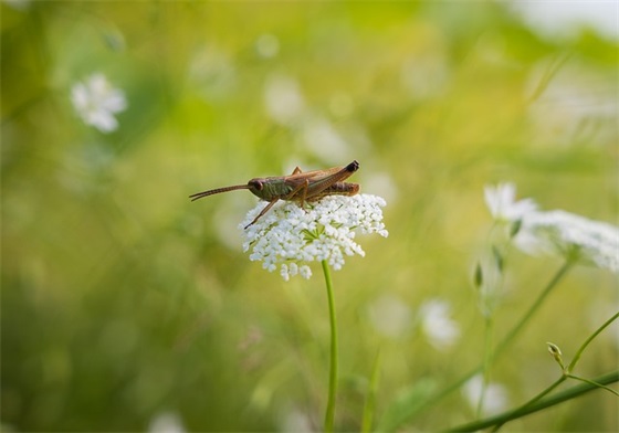 努力做好自己唯美句子(必备50句)
