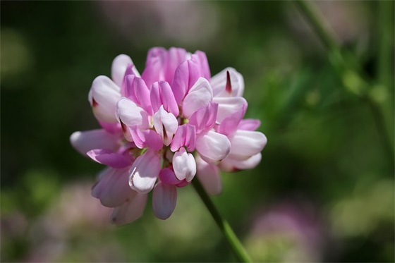 坦然自若的句子(热门50句)