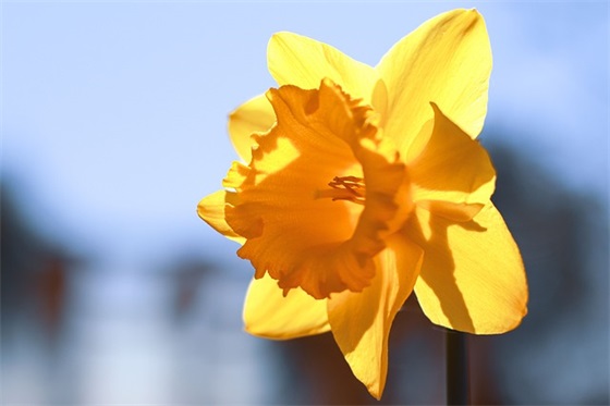 好朋友的句子搞笑(必备40句)