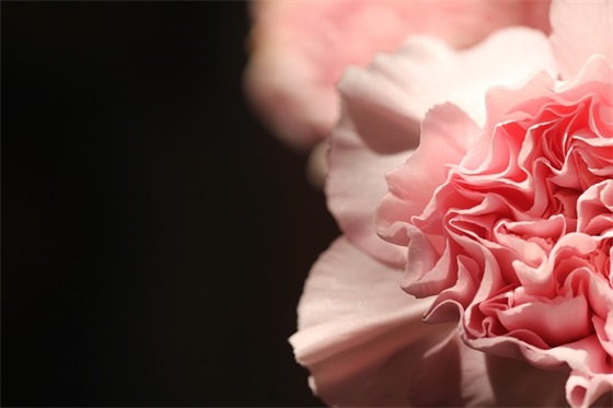 励志短句贴吧(精选50句)