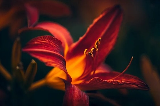 军人演讲稿范文大全