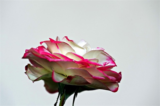 小学毕业经典家长寄语大全-53句