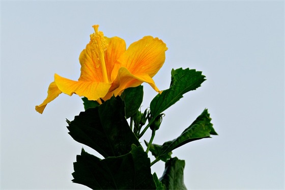 对孩子阅读的寄语-53句