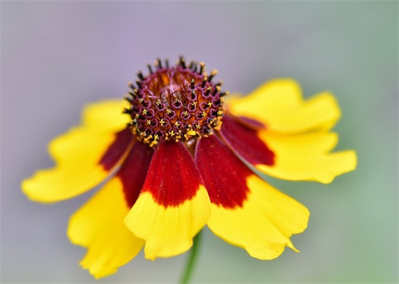 感情寄语段落-50句