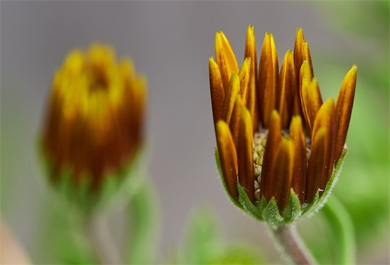 青年励志寄语-58句