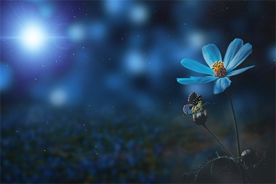 新年寄语给孩子-51句