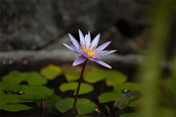 总经理对新员工入职寄语-53句