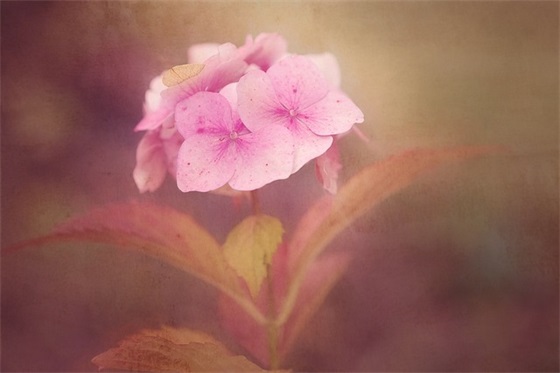 父母对高中毕业班孩子的简短寄语-53句