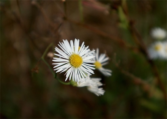老师对孩子说的毕业寄语-56句