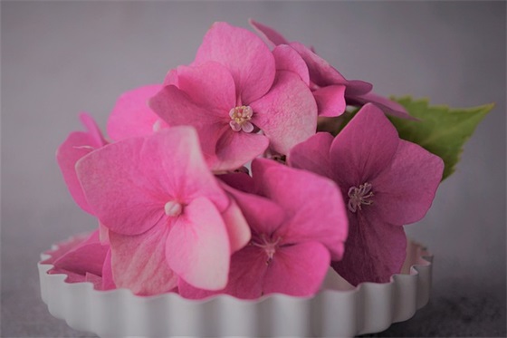 给孩子写一份寄语-51句