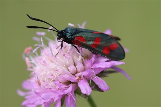 宝宝出生寄语大全-55句