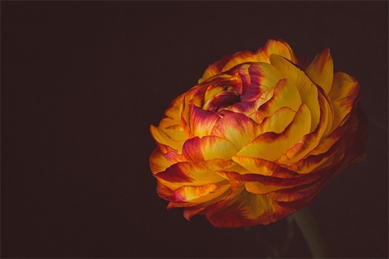 高考寄语或鼓励的话简短 老师-50句