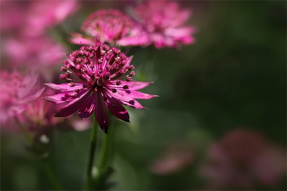 新高一寄语一句话-46句