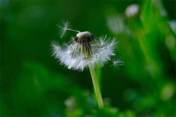 宝宝成长记录寄语-53句
