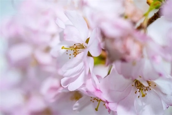 高考录取寄语简短精辟励志-60句