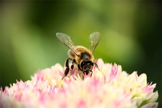 送单身朋友的寄语-46句