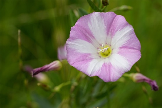 结婚纪念日寄语致妻子-53句