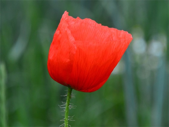 高三学生的高考寄语-50句