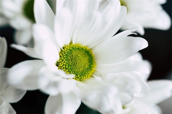 寄语女儿的话-53句