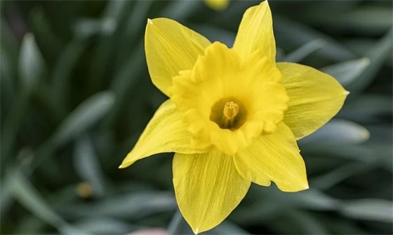 寄语未来的自己-53句