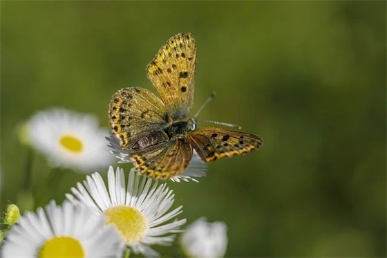 给自己的寄语简短-53句