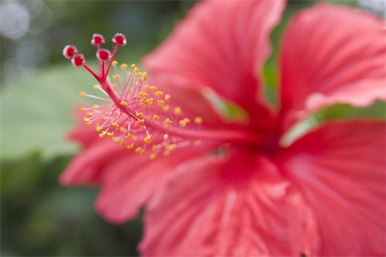 孩子退步,家长写给孩子的寄语-43句