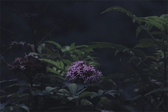 青春寄语短句10字-60句