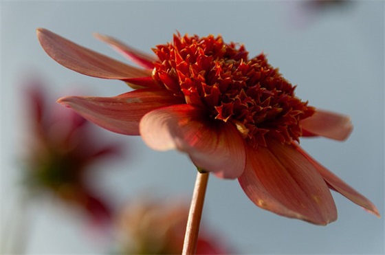 中考家长对孩子的鼓励寄语-52句