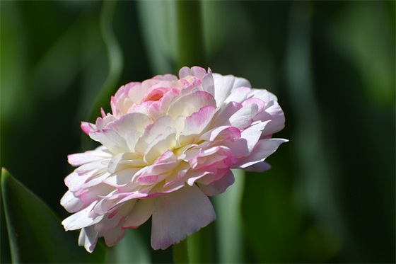 鼓励孩子多读书的寄语怎么写-52句