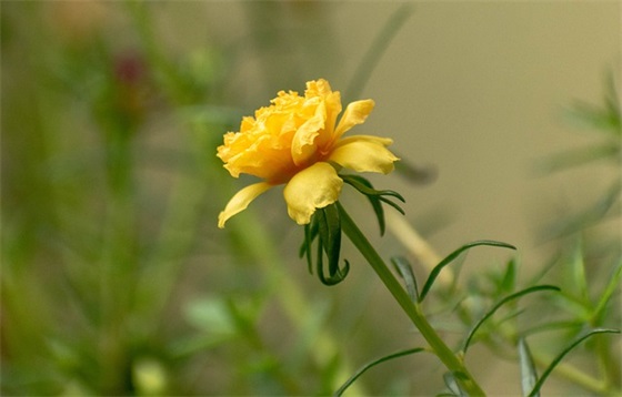 给孩子期末考试的寄语-43句