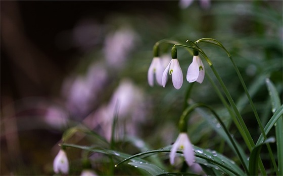 爸爸妈妈给小学三年级孩子的寄语-33句